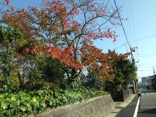b0174284_11525666.jpg