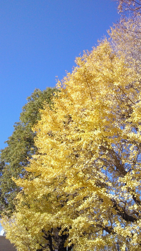 c0222486_01322100.jpg