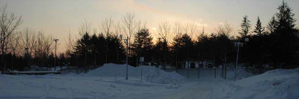 c0170789_13111369.jpg
