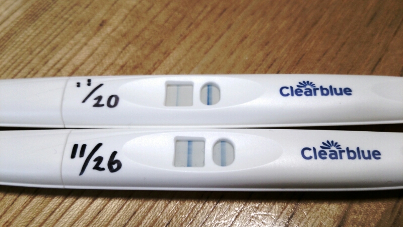 高温期21日目 ベビちゃん恋々 二度の子宮外妊娠で卵管を両方失いました