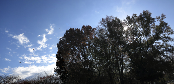 e0176691_2347328.jpg