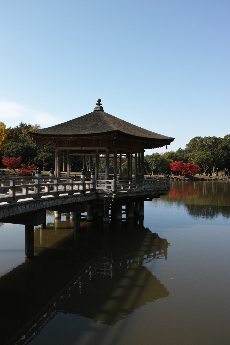 「半年振りの奈良公園」_a0133692_16264790.jpg