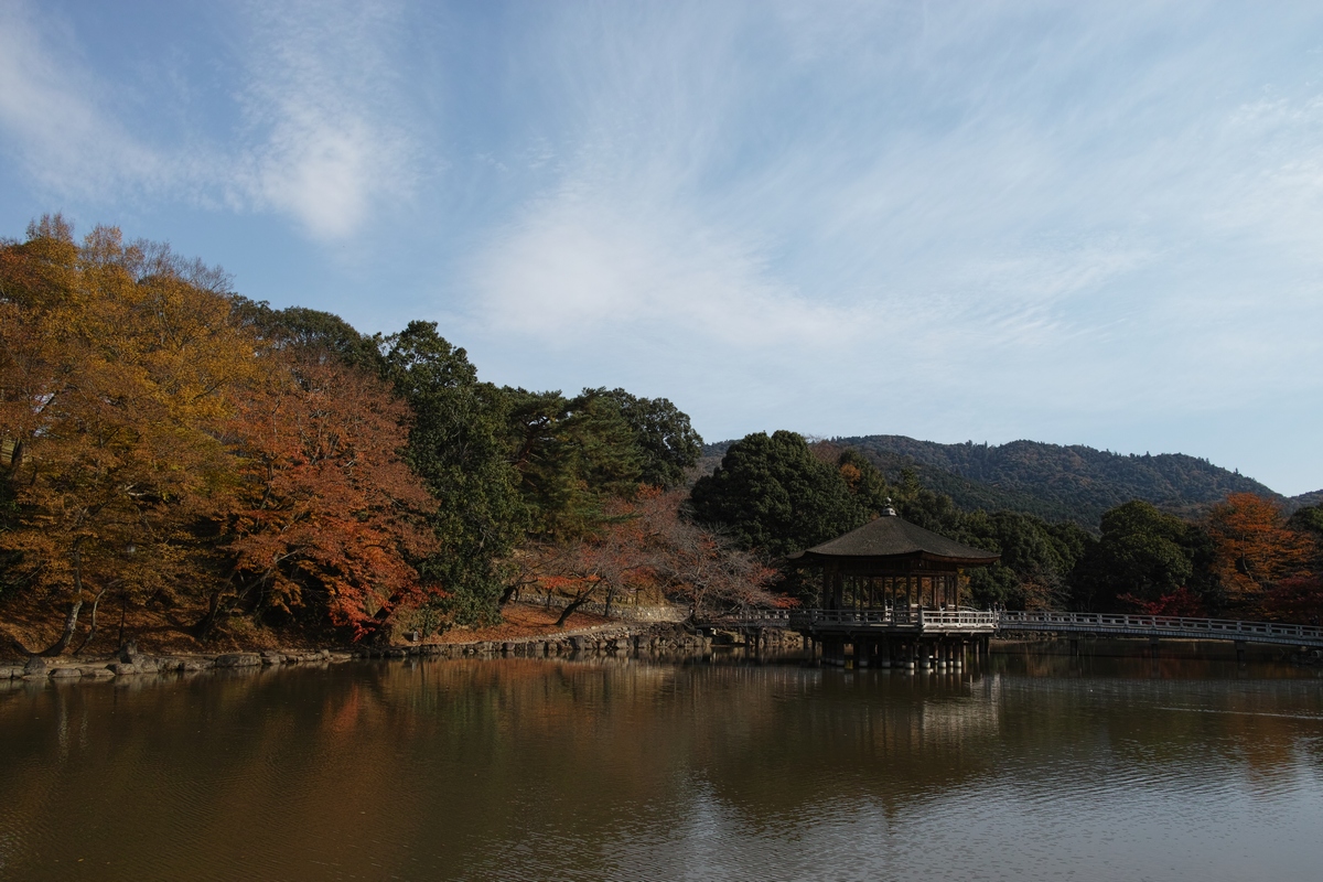 「半年振りの奈良公園」_a0133692_16354568.jpg