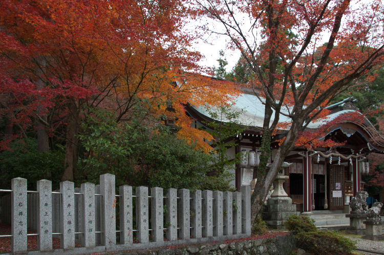 若山神社紅葉_a0303293_1839288.jpg