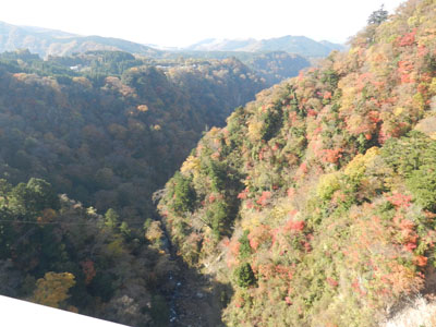 LOVELY 那奈ちゃんが行く！ その61　～天空の散歩道 九重“夢”大吊橋と耶馬渓の紅葉～_e0204795_17122532.jpg