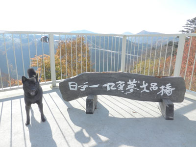 LOVELY 那奈ちゃんが行く！ その61　～天空の散歩道 九重“夢”大吊橋と耶馬渓の紅葉～_e0204795_178542.jpg