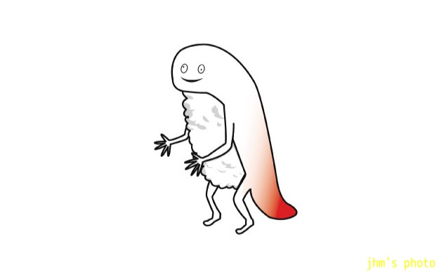 北斗市ご当地キャラ ずーしーほっきー の不思議 えっ I Shall Be Released