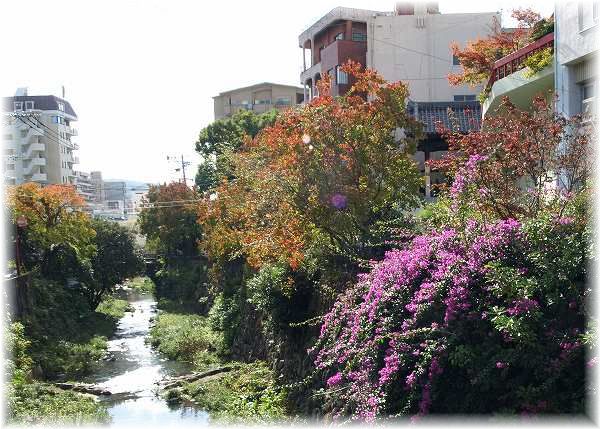 紅葉　・・・　長大経済学部～中島川_a0065498_124545100.jpg