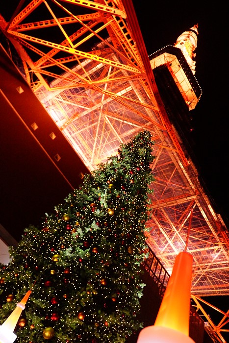 手持ちで東京タワー撮影会_b0145398_17295531.jpg