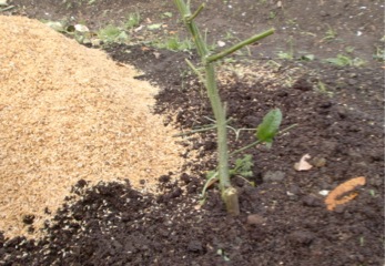 c0151898_20513765.jpg