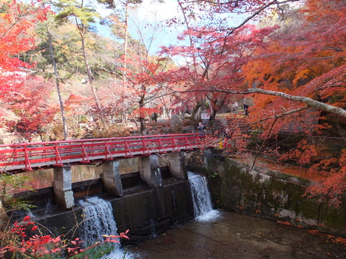 岩屋堂の紅葉_a0271502_22114111.jpg