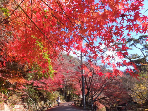 岩屋堂の紅葉_a0271502_221312.jpg