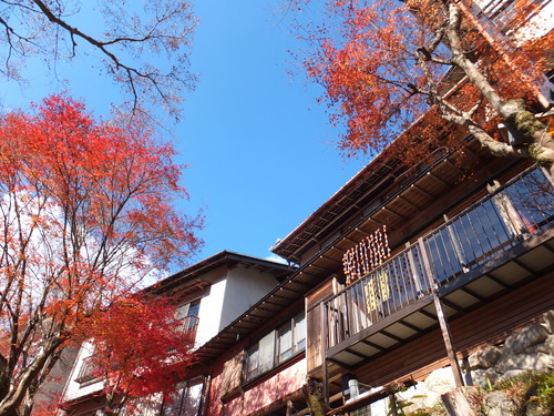 岩屋堂の紅葉_a0271502_22163523.jpg