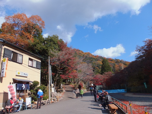 岩屋堂の紅葉_a0271502_2261613.jpg