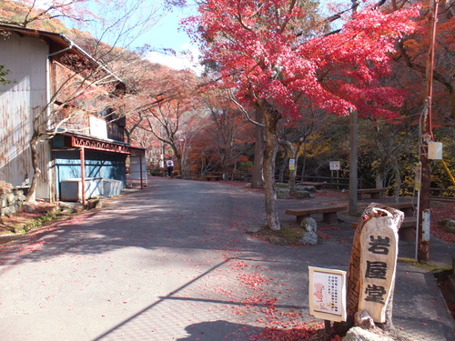 岩屋堂の紅葉_a0271502_227161.jpg