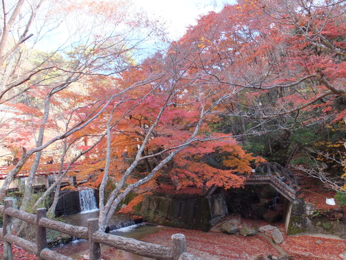 岩屋堂の紅葉_a0271502_2275881.jpg