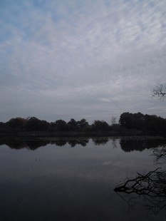 e0206902_4242044.jpg
