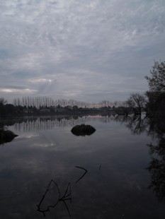e0206902_4245117.jpg