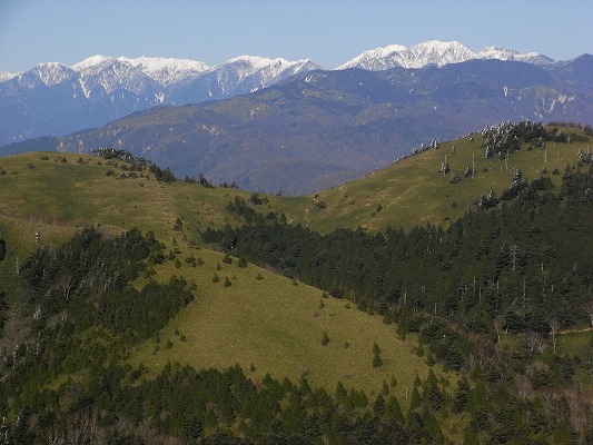 f0187402_1954268.jpg