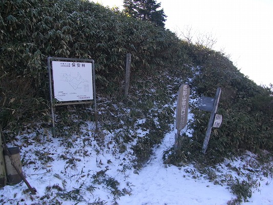 f0187402_195911.jpg