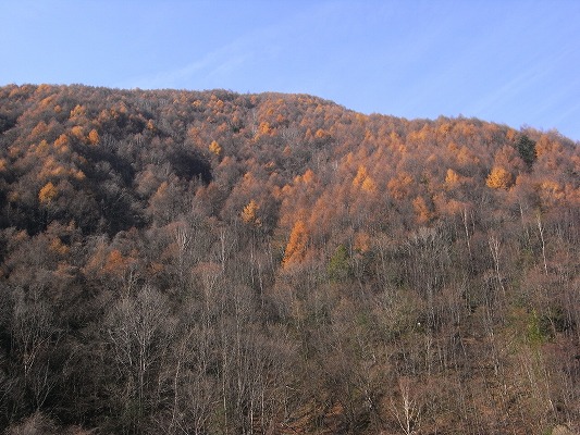 f0187402_1995164.jpg