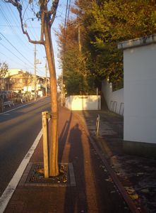 川瀬巴水ー生誕130年記念　前期　＠大田区郷土博物館_b0044404_16545918.jpg