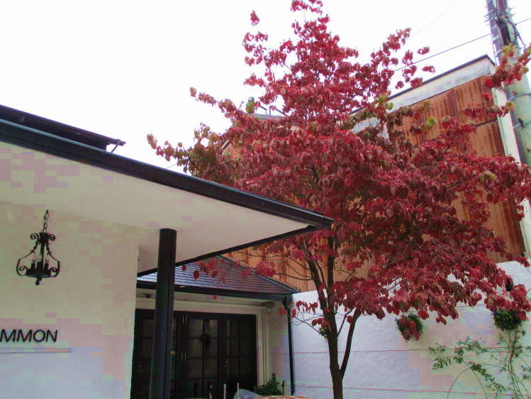 f0031304_812926.jpg