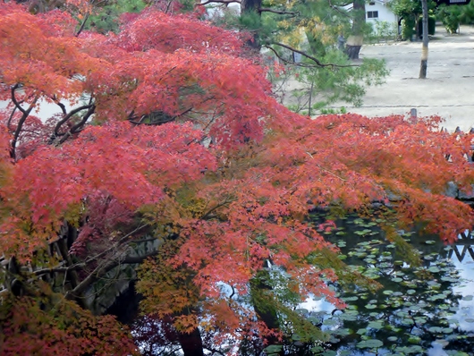 a0298406_9243243.jpg