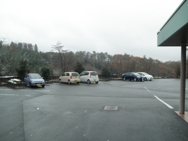 a0189513_1742465.jpg