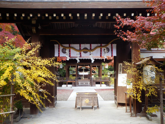 梨の木神社　13紅葉だより59_e0048413_21373380.jpg