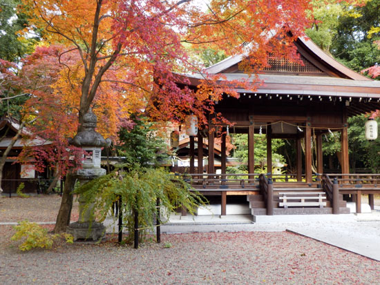 梨の木神社　13紅葉だより59_e0048413_21374511.jpg