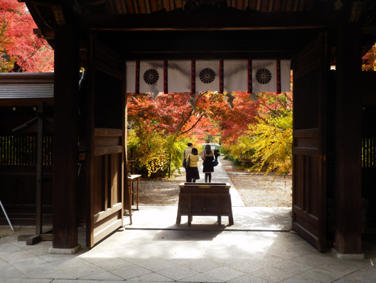 梨の木神社 13紅葉だより59_e0048413_21381265.jpg