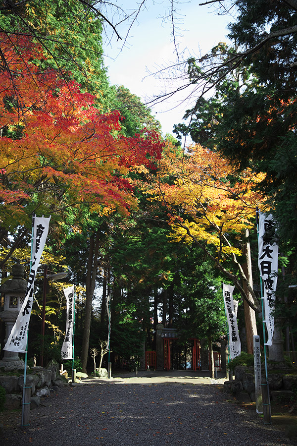 朝倉山真禅院の紅葉2013(不破郡垂井町)_c0115616_63169.jpg