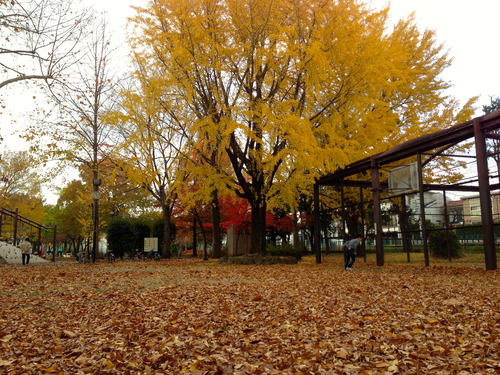 a0200423_17335283.jpg