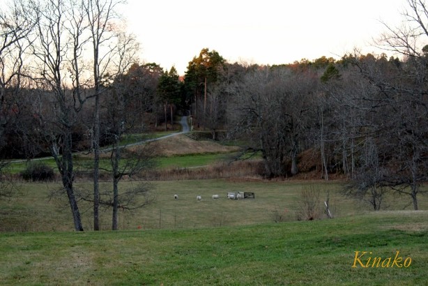 e0250023_921698.jpg