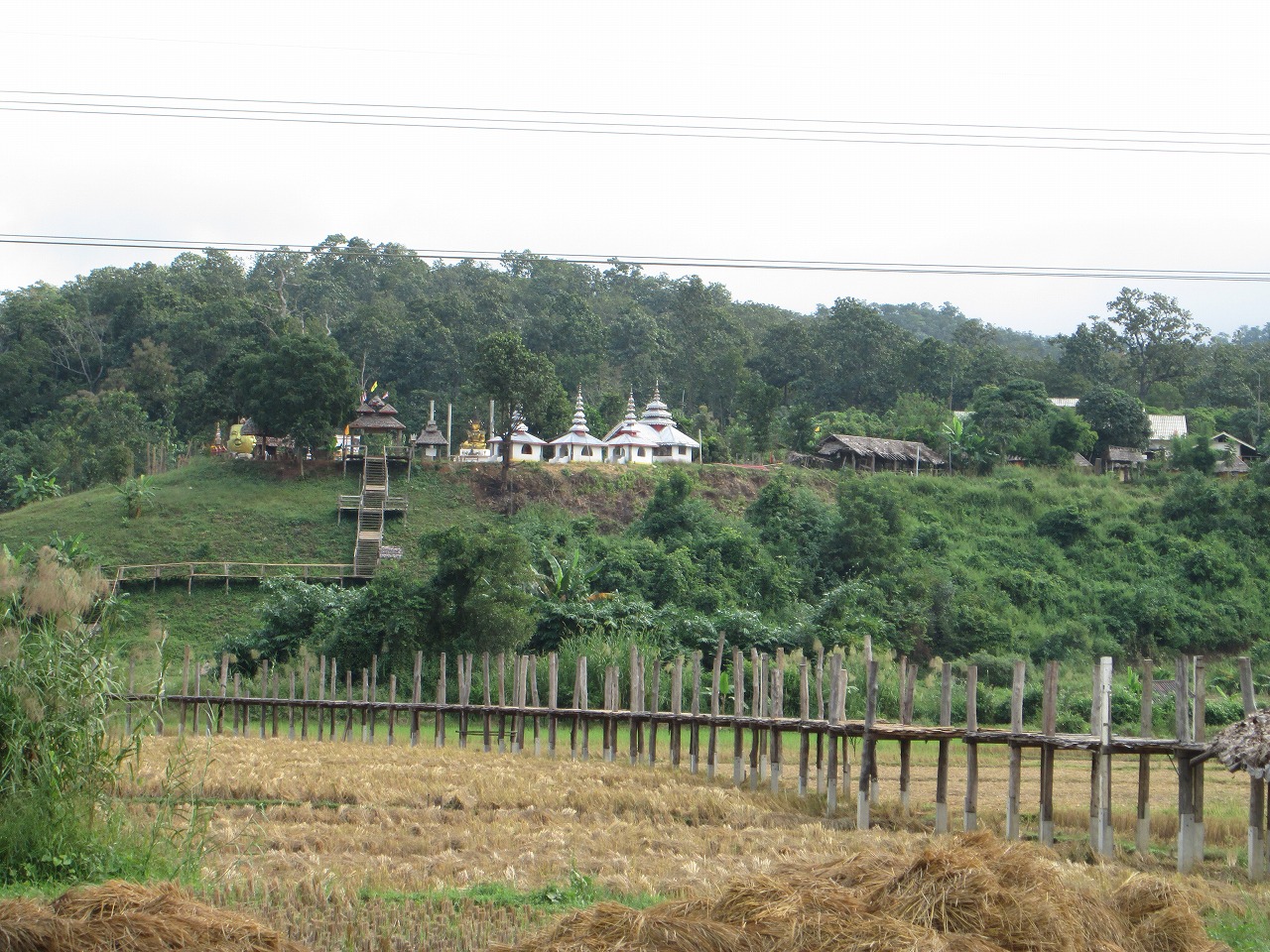 d0159325_22202293.jpg