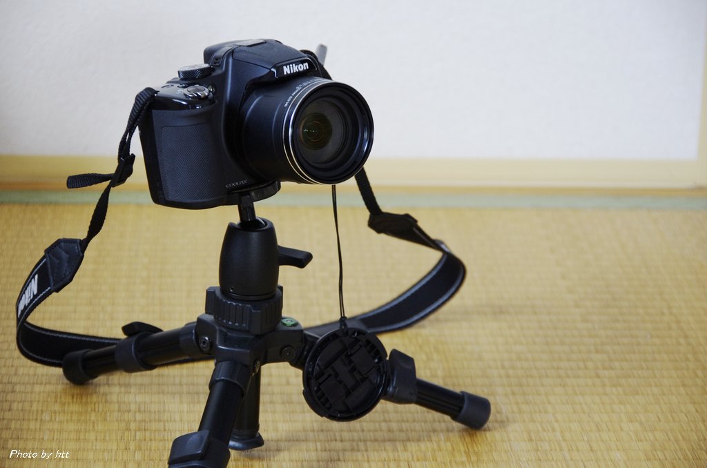 NIKON COOLPIX P520 その1 : htt'sフィールド NIKON COOLPIX P520 その1 : htt'sフィールド
