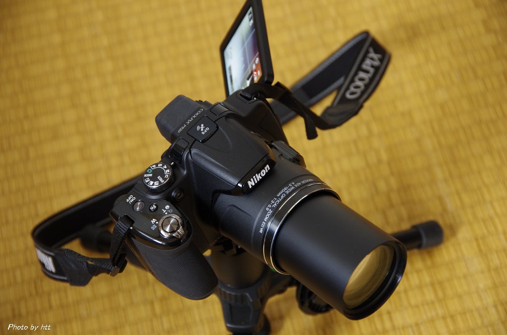 NIKON COOLPIX P520 その1 : htt'sフィールド NIKON COOLPIX P520 その1 : htt'sフィールド
