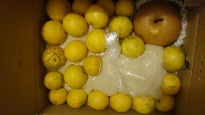 d0155128_21172912.jpg