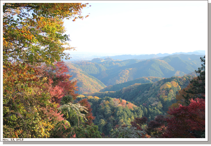 なめこ汁と高尾山_e0048530_23332345.jpg