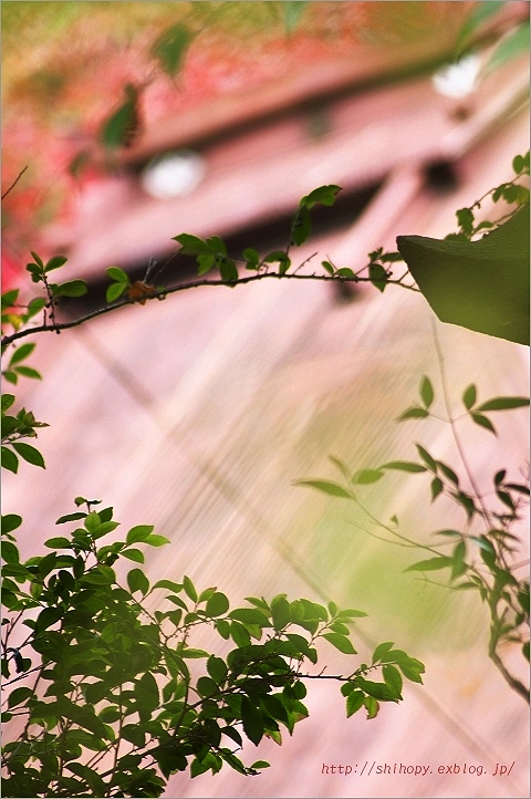 e0011137_23102032.jpg