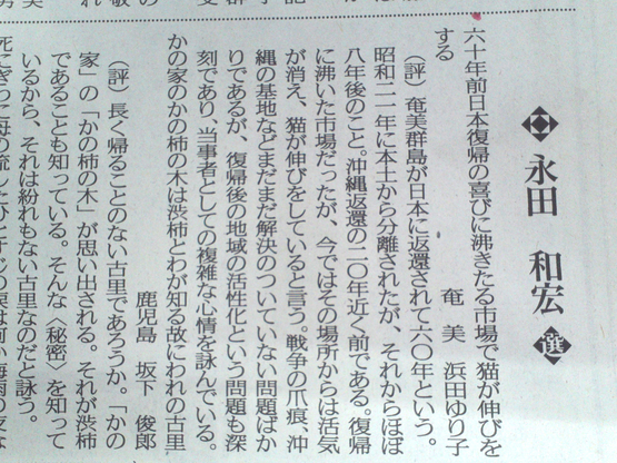 復帰と猫_e0041337_101920.jpg