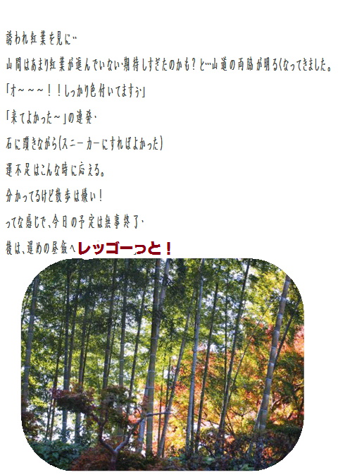e0255638_113120.png