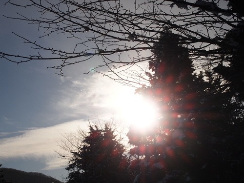 c0117239_1031939.jpg