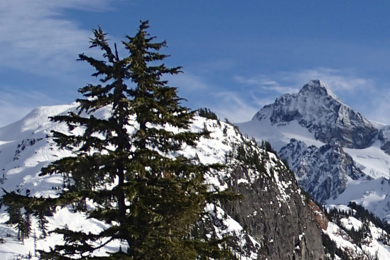 f0254240_47256.jpg