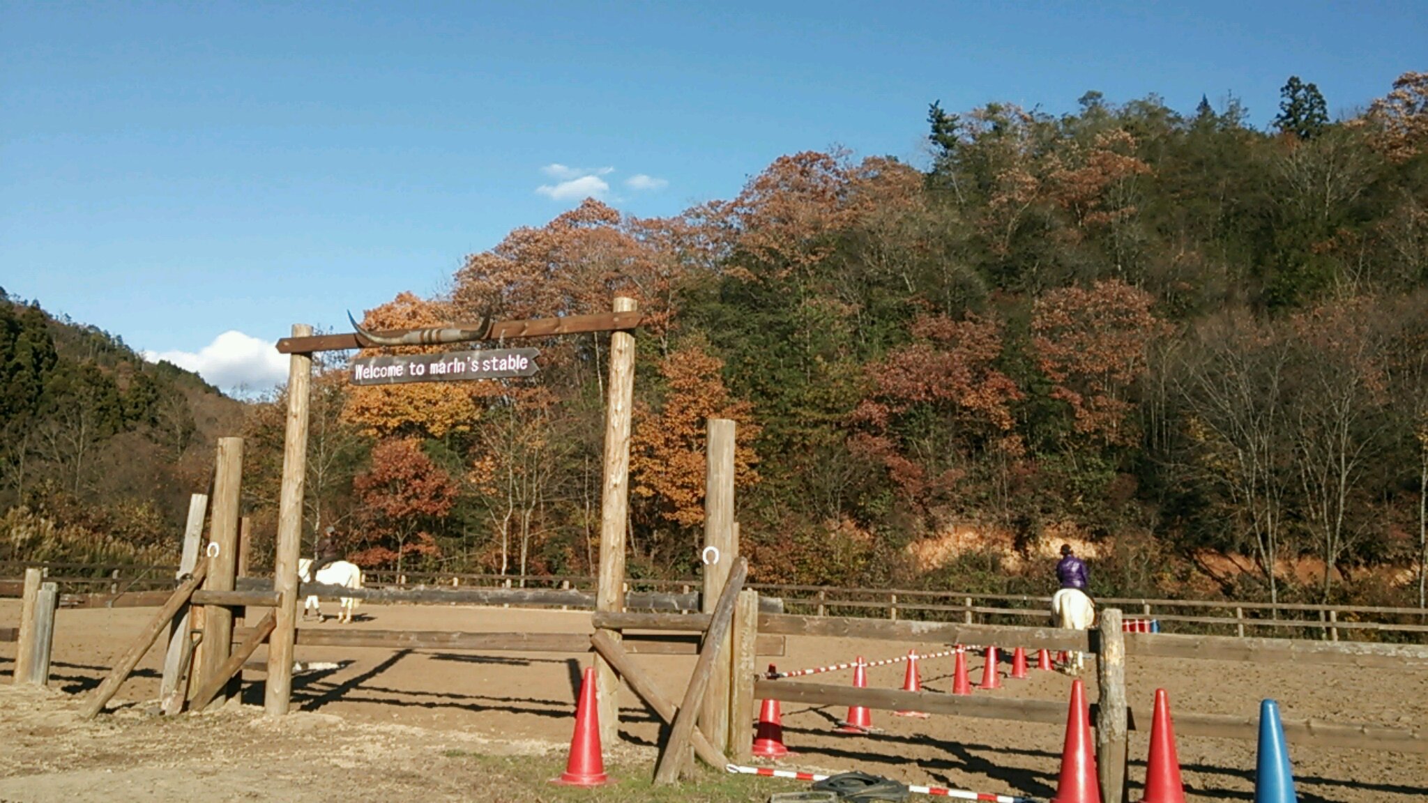 マリンの歯磨き_e0145441_711415.jpg