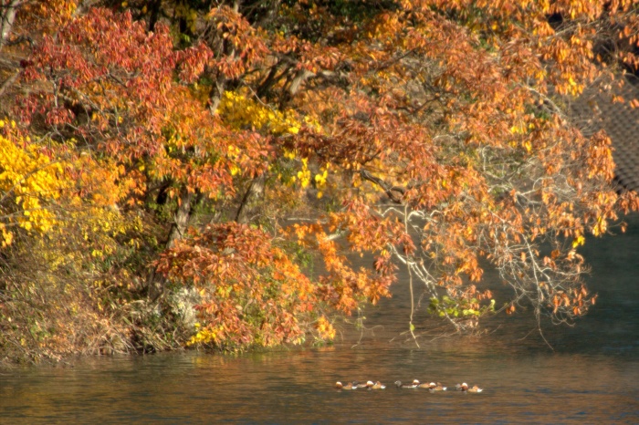 c0269342_21053266.jpg