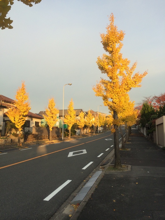 f0128542_93116.jpg