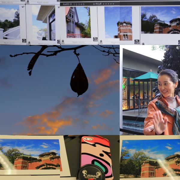「Picture Style Editor」は奥深い_e0241944_2175585.jpg