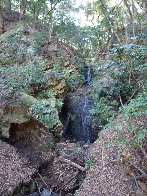 d0038545_22163071.jpg